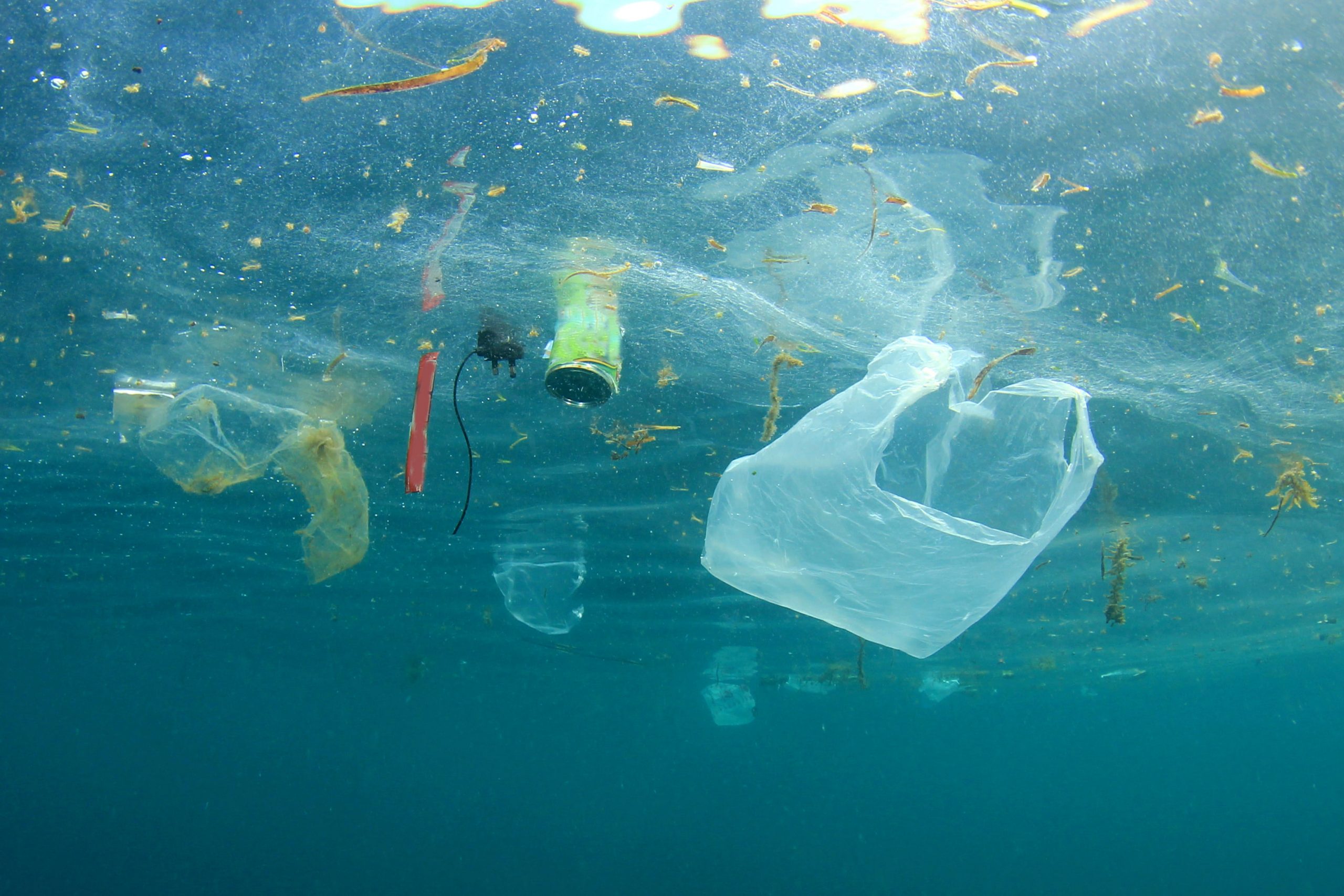 3-steps-towards-a-future-free-from-plastic-pollution-rethink-plastic