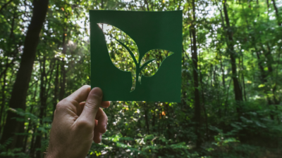 Image of eco-label in front of trees, symbolising ecodesign